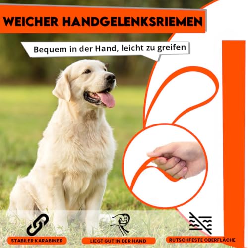 Loutep Biothane Schleppleine Für Hunde Lange Hundeleine 3m 5m Schleppleine 10m Für Hunde 15m 20m Leine Langlaufleine Trainingsleine Laufleine Schwimmleine Für Kleine Mittel Und Große Hund