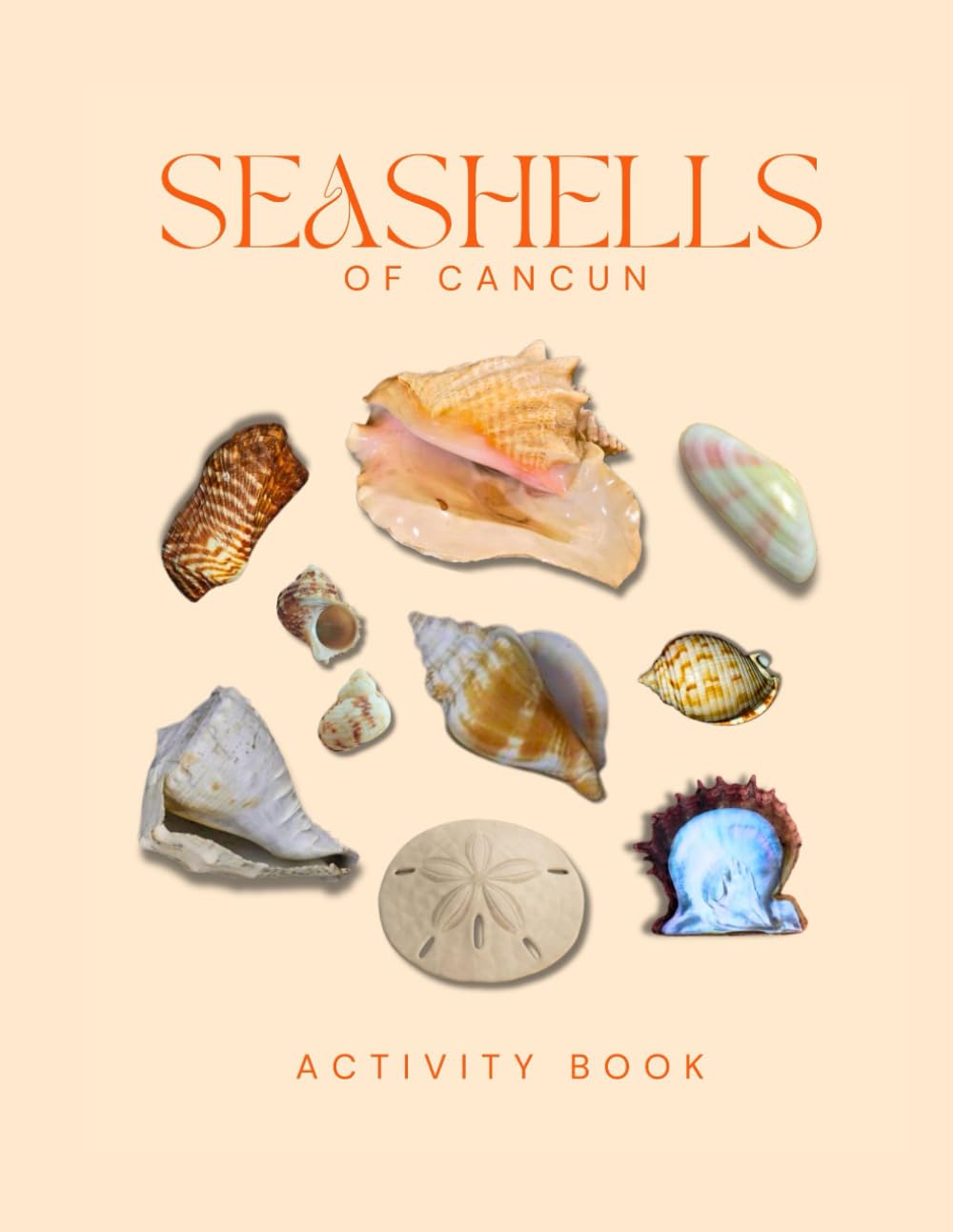 Seashells of Cancun Activity Book: A Young Beachcomber's Field Guide to Identifying the Seashells of Cancun (Caribbean Nature Explorer Series)