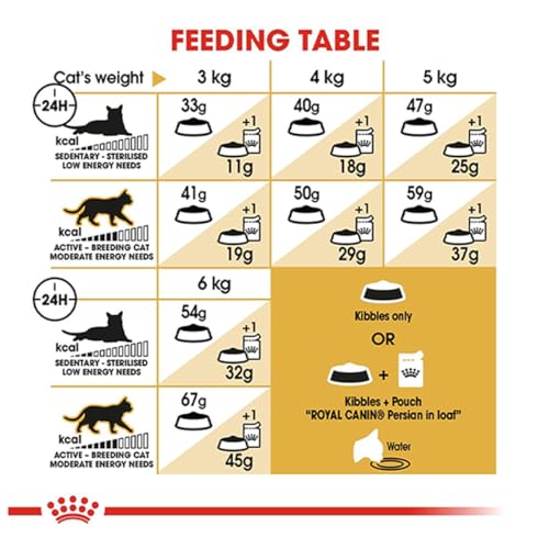 Image of Royal Canin Persian Adult Cat Food, 1 Kg, Dry Food, Supports Long Hair Health, Digestive Health, and Hairball Formation