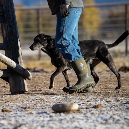 Image of MUCK Men's Edgewater Classic Mid Boot