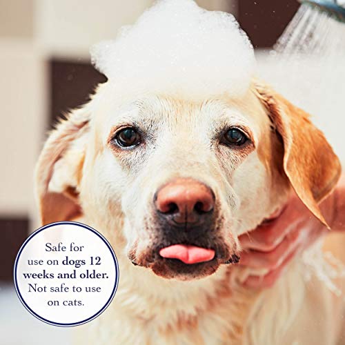 Richard’s Organics Flea and Tick Shampoo for Dogs 100 AllNatural