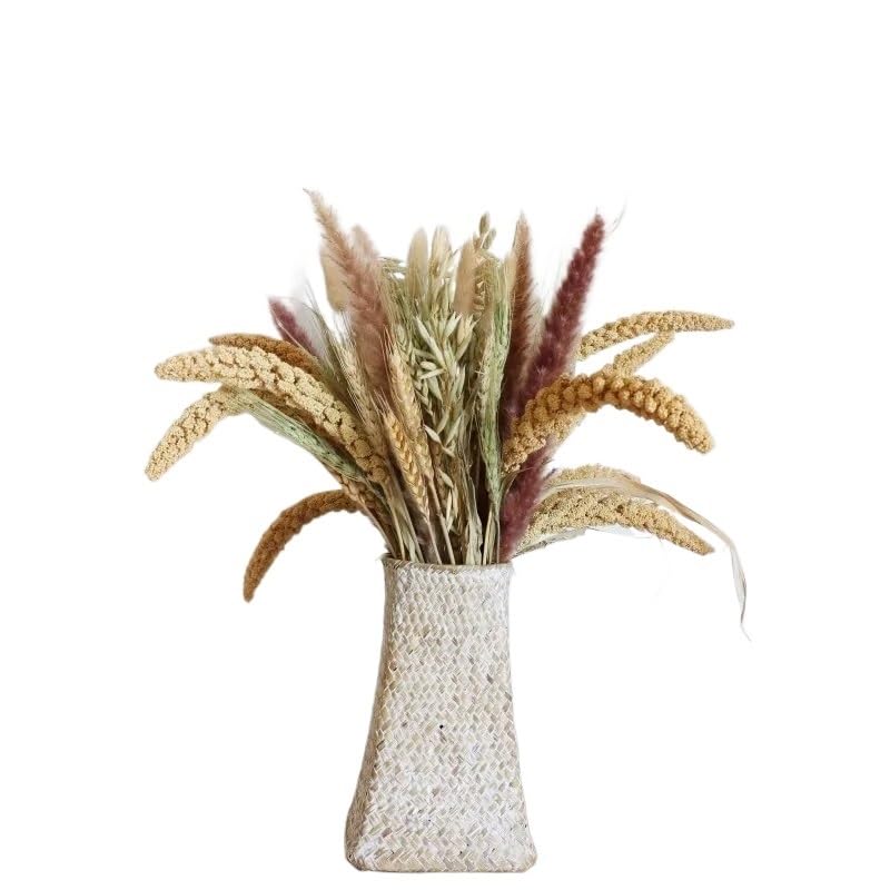 Ramo Grande de Hierba Pampas Natural Secada 40-45cm miniatura 1