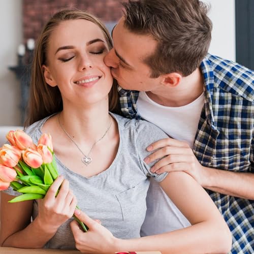 Moissanite Heart Necklaces for Women, Gifts for Wife, 1-3 Carat Moissanite 925 Sterling Silver Love Jewelry, Birthday Wedding Anniversary Christmas Valentines Engagements Gifts for Wife Women Her Girlfriend Mom4