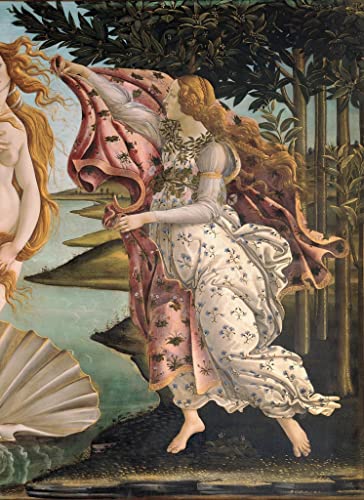 Art mural Naissance de Vénus Botticelli pour mur vide 60x90cm