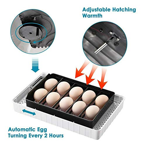 EUNEWR Professionelle LED Eier Inkubator Vollautomatisch Brutmaschine, mit Effizienter LED Beleuchtung Feuchtigkeitsfest… – Bild 5