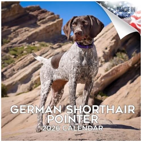 German Shorthair Pointer Calendar 2026 by MegaCalendars – Monthly Dog Breed Wall Calendar, Made in USA