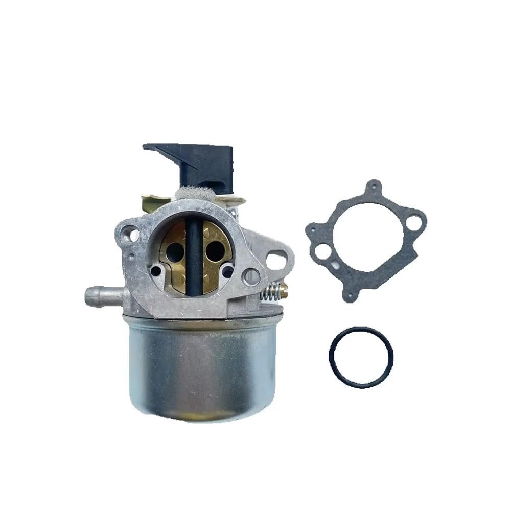 Carburateur, Joint et Joint torique pour Moteur BS 498965 de motoculture