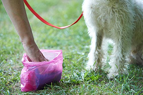 Palucart® 540 Hundekotbeutel in praktischen Rollen Kotbeutel Hundebeutel Beutel für Hundekot Farben können variieren