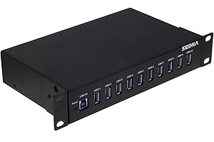 10 Port USB 3.1 Gen I 1U Ten-Inch Rack Hub