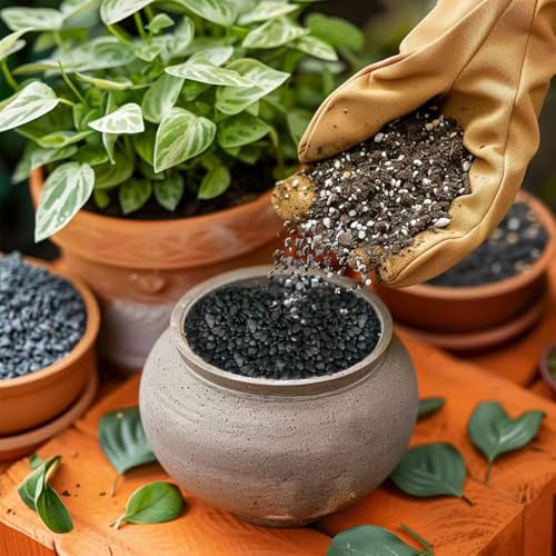 Image of HappyFiller 0.88 LB Black Gravels Small Stones Succulent Mini Rocks | Planter Soil Cover Pebbles,Fairy Garden,Terrarium,Lucky Bamboo,Cactus Topper Dressing Decor,Aquarium Fish Tank Bottom Granule