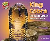 King Cobra: The World’s Longest Venomous Snake (Even More SuperSized!)