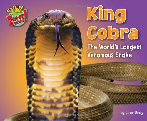 King Cobra: The World’s Longest Venomous Snake (Even More SuperSized!)