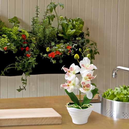 Orchidée artificielle phalaenopsis pour décoration de table basse