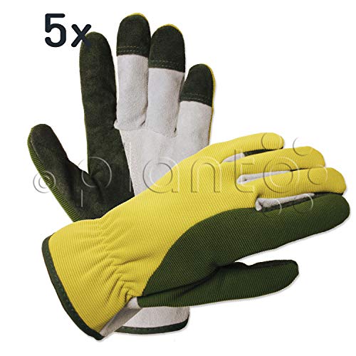 Preisvergleich Produktbild planto Leder-Gartenhandschuhe Flex, Gr. 8, Profi Arbeitshandschuhe aus bestem Rindsleder, Thornproof Gloves (5 Paar)