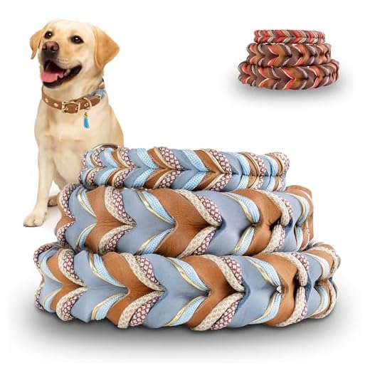 FAMBLANETIA Hundehalsband (M) Leder & Paracord geflochten | Große, mittlere & kleine Hunde | 3cm breit | außergewöhnlich, ausgefallen | blau braun Gold | weiches Fettleder | Tau handgemacht
