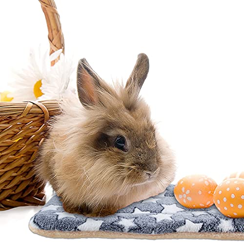 G Yiteng 3 Pc Small Animal Plush Bed Mat,Warm Fluffy Kitten Puppy Blanket,Fleece Sleep Pad For Ferrets Hamster, Rabbit Bed Guinea Pig Bed (Large:19 X 12In, Set-G) #TOP4