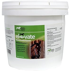 Kentucky Performance Products Elevate Maintenance Powder, 10 Pounds, Vitamin E Horse Supplement