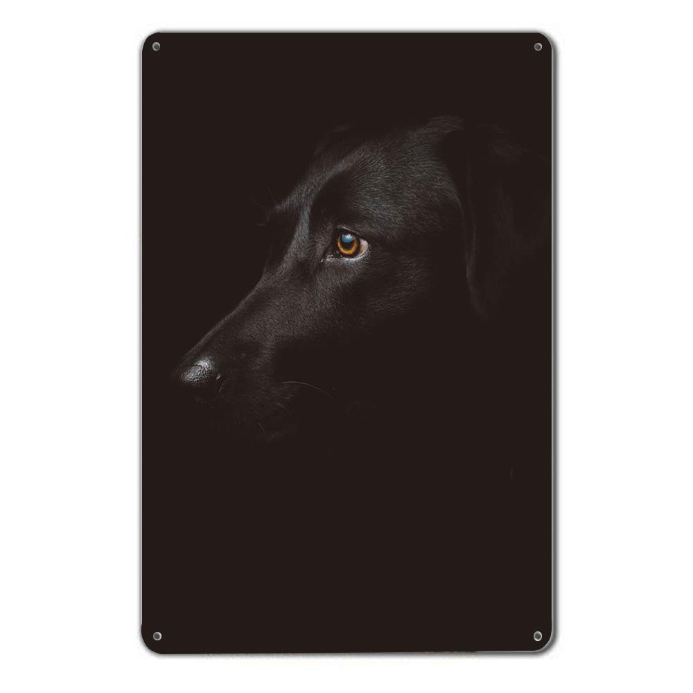 License Plate Signs Vehicle Sign Personalized 3D Black Dog Decorative Front Plate Home Bathroom Pub Bar Wall Decor 8"x12"