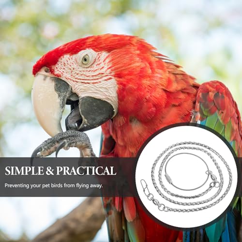 Chambre d'oiseaux : chaîne de cheville pour perroquets et perruches - 7