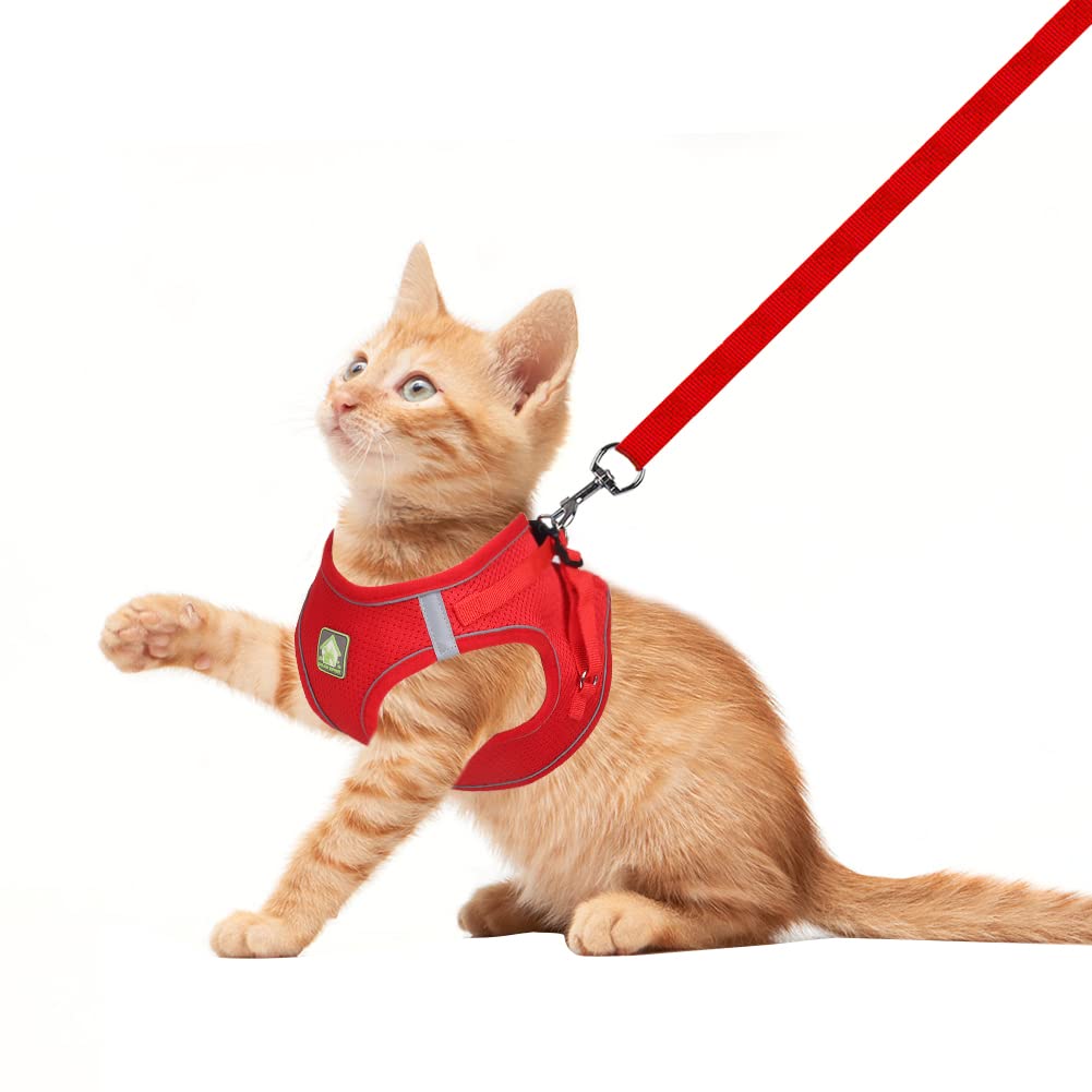 Pettorina Imbottita Riflettente Per Cani Piccoli E Gatti - Morbida E Regolabile, Con Guinzaglio Incluso