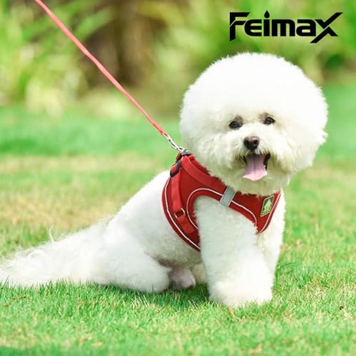 Image of FEimaX Dog Harness and Leash Set Puppy and Kitten Vest Reflective for Safe