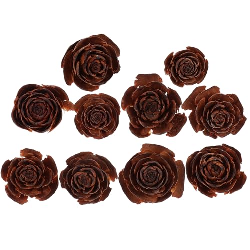 Flores Secas Naturales y Conos de Pino 10pcs Set miniatura 1