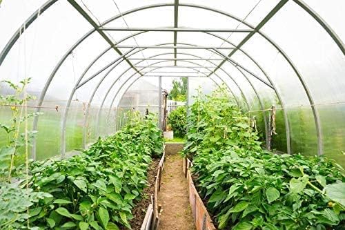 Green House Plastic Transparent Sheet for 20 FT x 18 FT [ Imported ] 550-GSM Greenhouse Multilayer Poly Plastic UV Treated Dust-Proof Waterproof Sheet