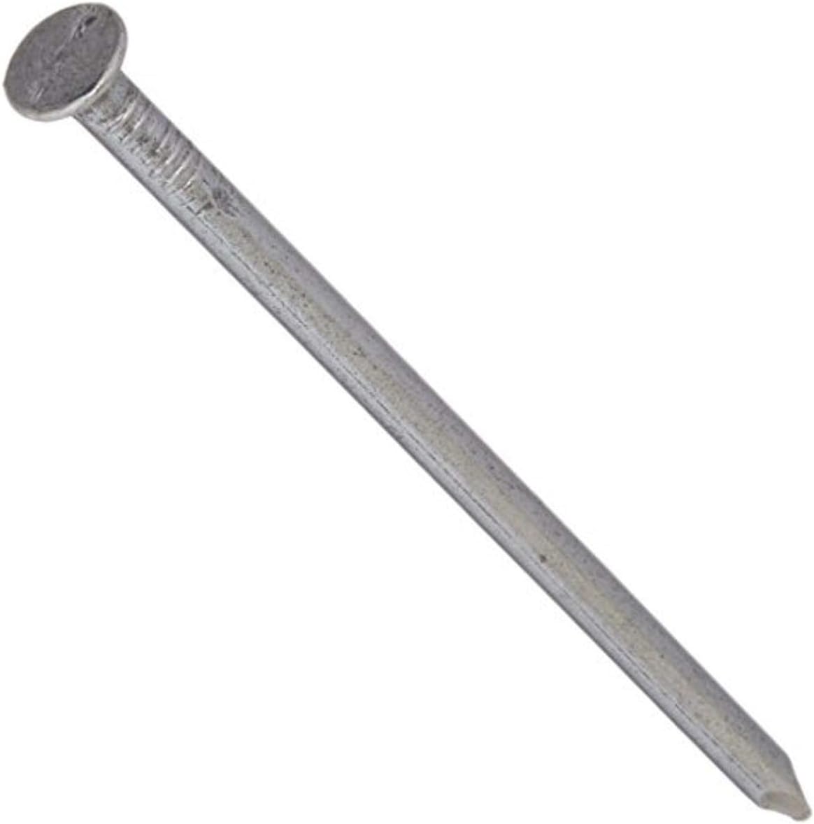 Fas-n-Tite Bright Common Nails 16D