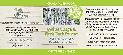 Chaga Mushroom Extract Liquid, Maine Chaga & Birch Bark Extract, Natural Source Of Betulin From White Birch Bark, 2Oz, Wild Harvested Chaga, Double Extracted Tincture #TOP1