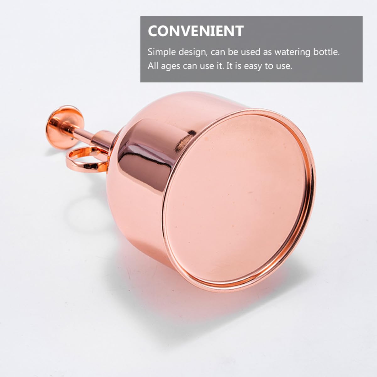 MAGICLULU Gießflasche für Pflanzenbewässerung 300ml aus Edelstahl mit Pumpdesign Sukkulenten und Metall Sprüherkopf im Badezimmer und Küche