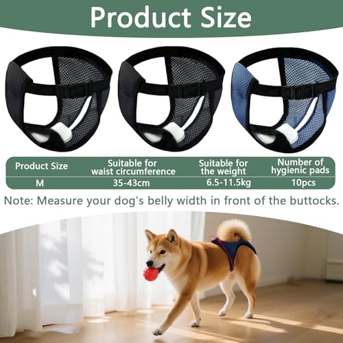 3er Pack Höschen für Hunde Läufigkeit mit 10 Damenbinden, Weich, Atmungsaktiv und Verstellbar Schutzhose Hündin, Wiederverwendbare Periodenhose Hund, Läufigkeitshose, M