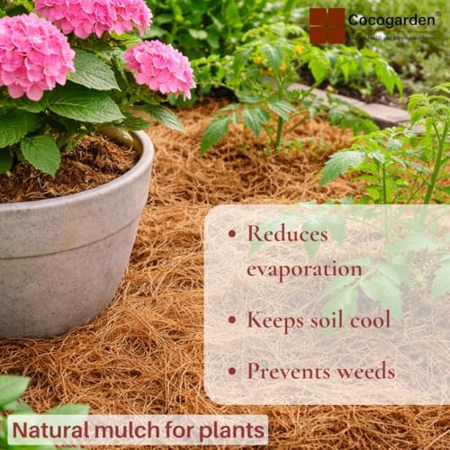Image of Cocogarden Coconut Coir Fibre Mulch for Plants 500g | Natural Organic Coco Fiber for Moisture Retention, Bird Nesting & Home Decor