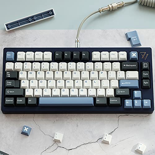 Arctic Keycaps 171 Keys ABS Doubleshot Keycaps Cherry Profile Arctic Theme Style Thick ABS Keycaps for Cherry Gateron MX Switch Mechanical Keyboards (Arctic Keycap)