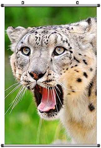 Amazon Co Jp ユキヒョウ 動物の写真ポスター掛け軸 60cmx90cm ホーム キッチン Amazon Co Jp ユキヒョウ 動物の写真ポスター掛け軸 60cmx90cm ホーム キッチン