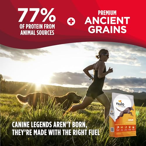 Image of Nulo Frontrunner Dry Dog Food - Adult High-Protein Chicken, Oats & Turkey Recipe, Natural Kibble with Ancient Grains, Probiotics, Taurine, Omega 3 for Small, Medium and Large Breeds, 5lb Bag