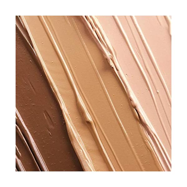 Fountain of Truth Perfect Skin Illuminator (Dark) – Illuminating Tinted Face Moisturizer - Liquid Highlighter, Foundation & Primer BB Cream – Clean, Natural & Efficacious Beauty & Skin Care Products