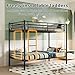 NestLude Metal Bunk Bed Twin Over Twin with Ladders & Guardrail, Industrial Beds Frame Heavy Duty 2 in 1, Space-Saving for Bedroom, Dormitory (Black)