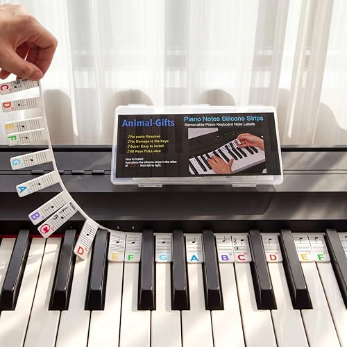 88/61 Keys Piano Keyboard Notes Guide Removable Silicone Piano letters keys Labels for Beginner Accessories Gifts for Adult & Kids Pianos Learning Lead & Nickel Free BPA Free No Need Sticker