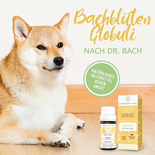 Beruhigungsmittel für Katzen von Wolfsbacher Natur