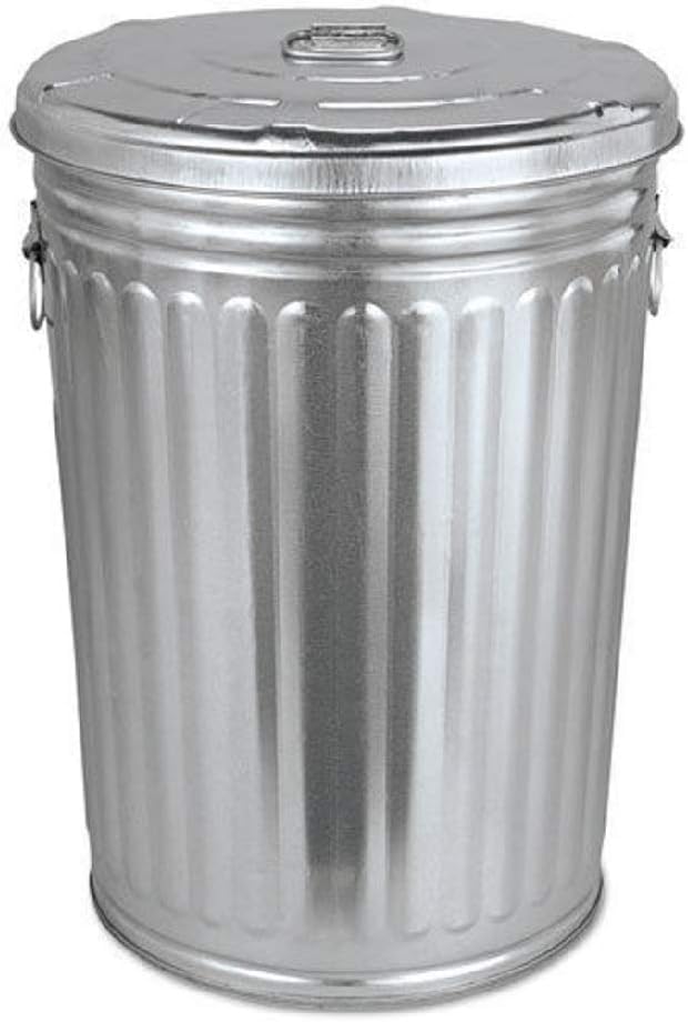 Amazon.com: Plexon Pre-Galvanized Trash Can with Lid Round, Steel