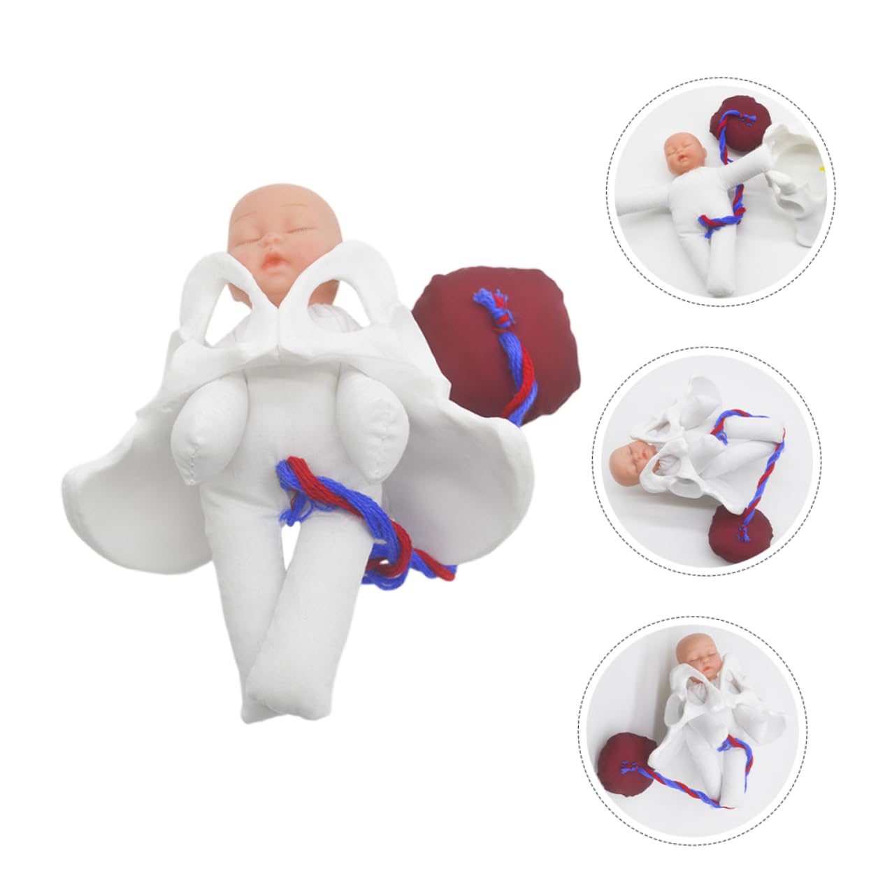 Generisch 1 Set Entbindungsbeckenmodell Beckenmodell Praxismodell Medizinstudenten Becken Lehrgeburtsmodell Hebammen Trainingsmodell Geburtsmodell Pvc