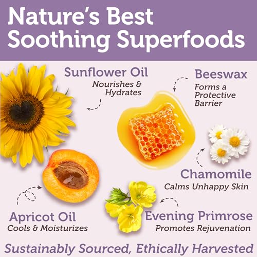 USDA Organic Nipple Butter Safe for Breastfeeding – Lanolin-Free, Food-Grade Nipple Cream for Sore, Cracked & Sensitive Skin Relief – No Wipe Off Postpartum Essential - Image 6