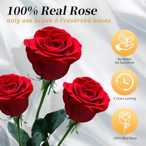 Forever Flowers Roses in A Box,Real Preserved Flowers,Preserved Roses,Preserved Flowers for Delivery,Forever Flower Gifts for Women/Men/Mom,Flowers for Mothers Day,Valentine\'s Day Rose Gifts,Red