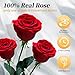 Forever Flowers Roses in A Box,Real Preserved Flowers,Preserved Roses,Preserved Flowers for Delivery,Birthday Gifts for Women/Men/Mom,Flowers for Mothers Day,Valentine's Day Rose Gifts,Red