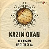  Tek Arzum