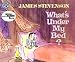 What's Under My Bed?