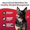 Nulo FreeStyle Adult Trim Dry Dog Food - High Protein Grain Free Dog Food for Healthy Weight Management, Natural Kibble with Probiotics, L-Carnitine and Fiber for Small, Medium, Large Breeds, 26lb Bag