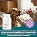 Zanipro Probiotische und Präbiotische Paste für Hunde und Katzen Gegen Durchfall Wurmkur, Natürliches Durchfallmittel für Hunde, 3 Milliarden KBE Probiotika Darmflora, Darmsanierung (30ml) Kürbis