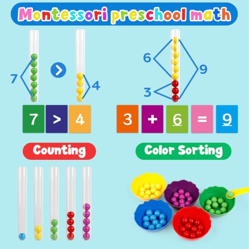 Image of Counting and Color Sorting Toys,Montessori Math Games,Fine Motor Skills
