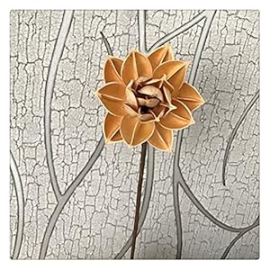 JJZXD Testa da 10 cm, Vero Fiore di Loto pressato essiccato Naturale, Decorativo Ramo di Fiori di Giglio a Mano a Mano, Decorazione per la casa, Soggiorno (Color : Style 2)